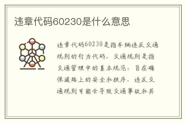 违章代码60230是什么意思(违章代码60230是什么意思呢)