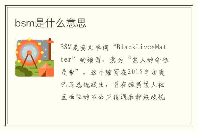 bsm是什么意思(bsm是什么意思车上的功能)