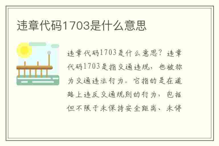 违章代码1703是什么意思