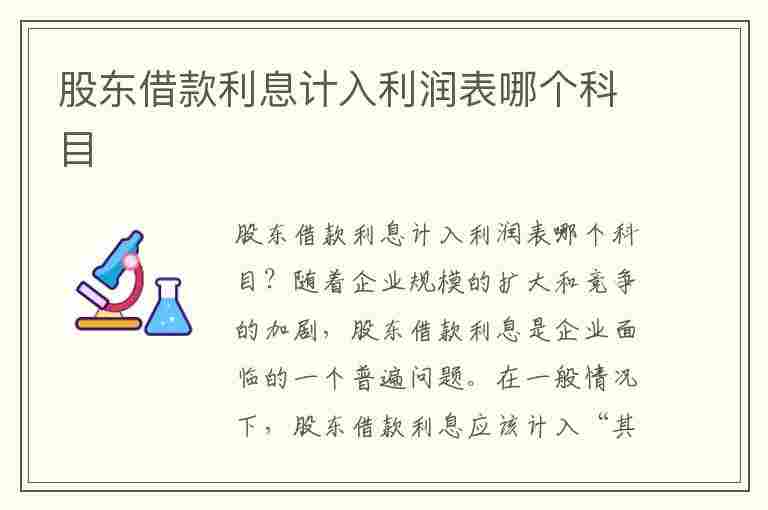 股东借款利息计入利润表哪个科目