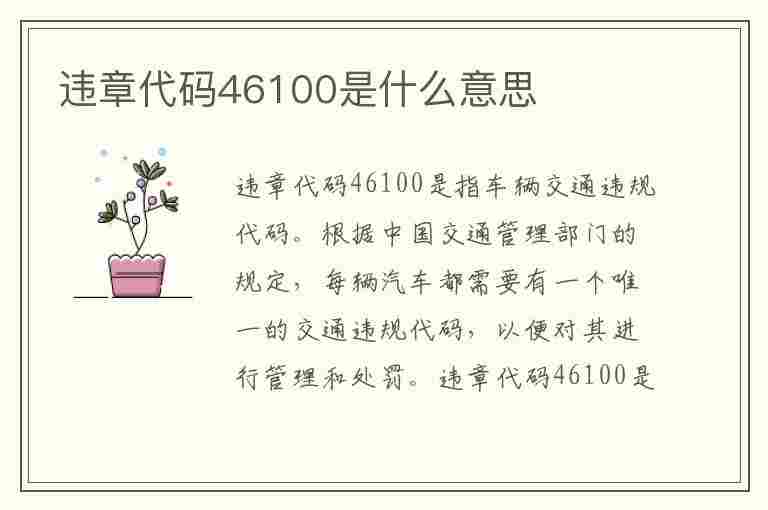 违章代码46100是什么意思