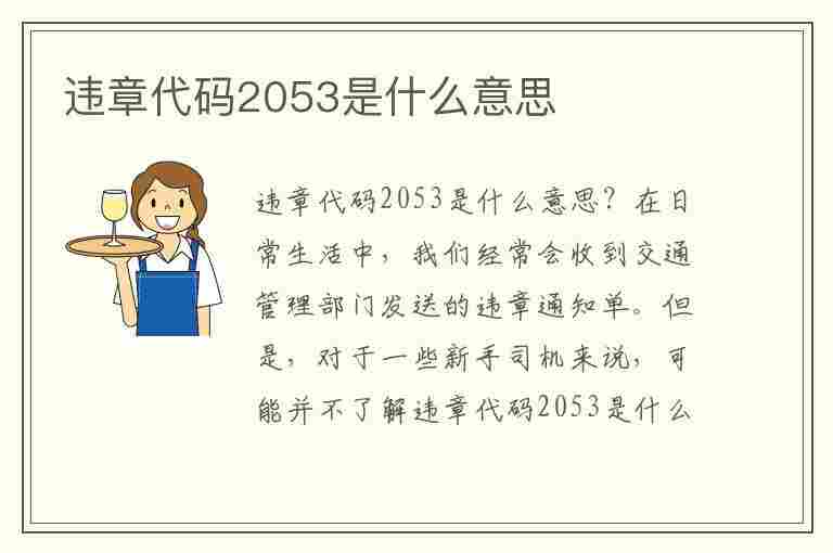 违章代码2053是什么意思(违章代码2053是什么意思啊)