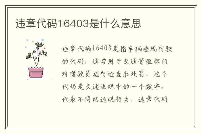 违章代码16403是什么意思