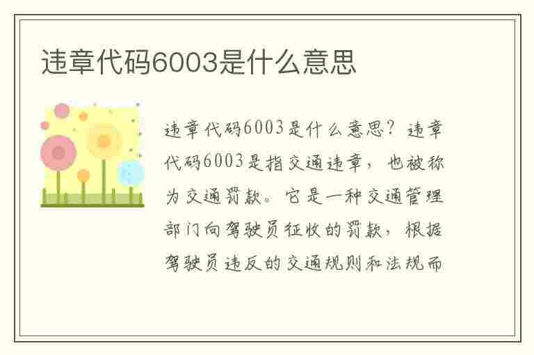 违章代码6003是什么意思(违章代码6003是什么意思啊)