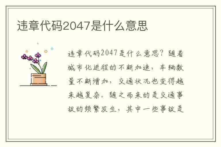 违章代码2047是什么意思(违章代码2047是什么意思啊)