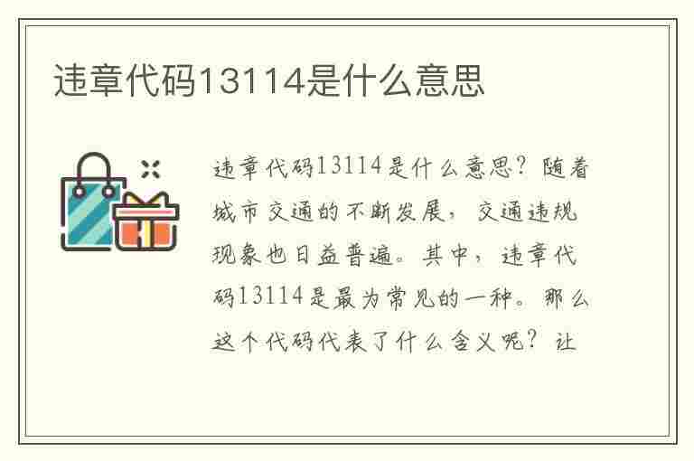 违章代码13114是什么意思