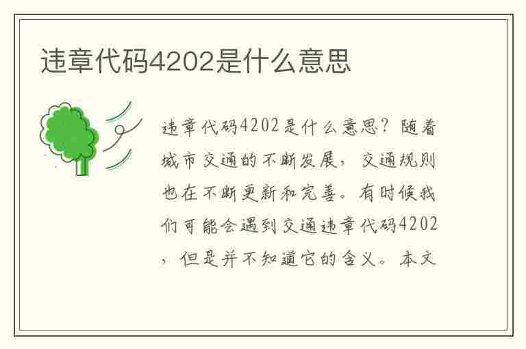 违章代码4202是什么意思