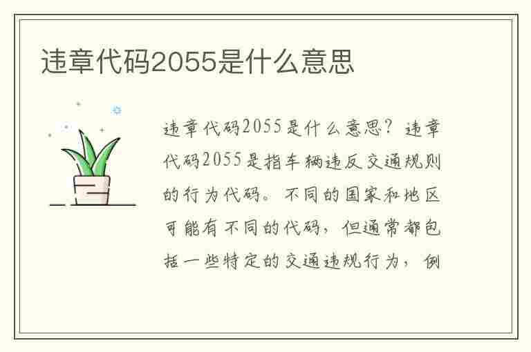 违章代码2055是什么意思(违章代码2055是什么意思啊)