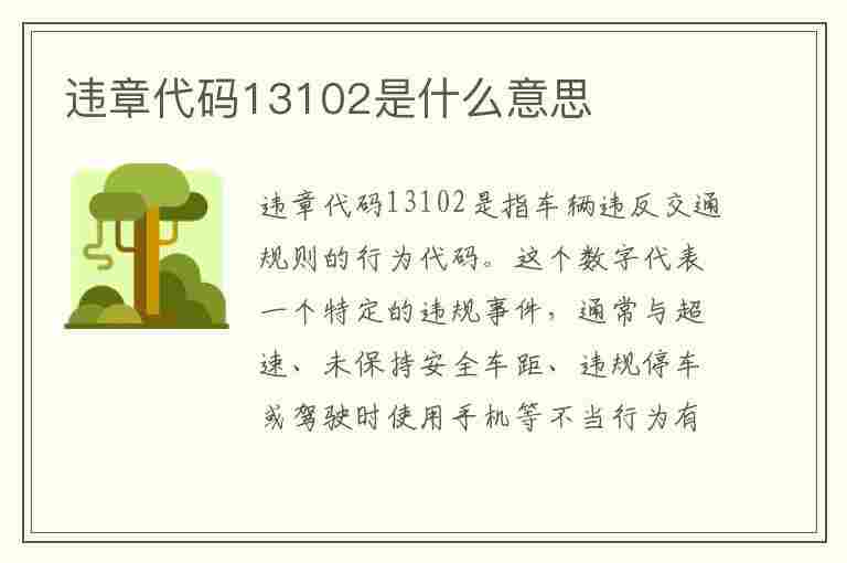 违章代码13102是什么意思(违章代码13102是什么意思啊)