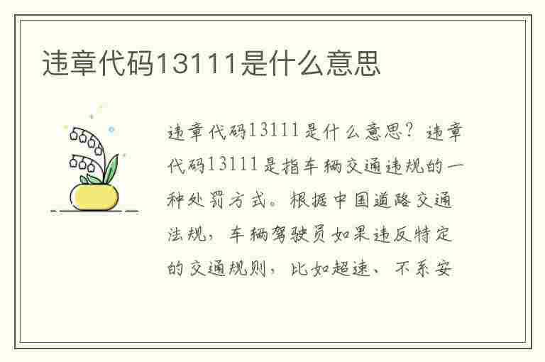 违章代码13111是什么意思(违章代码13111是什么意思啊)