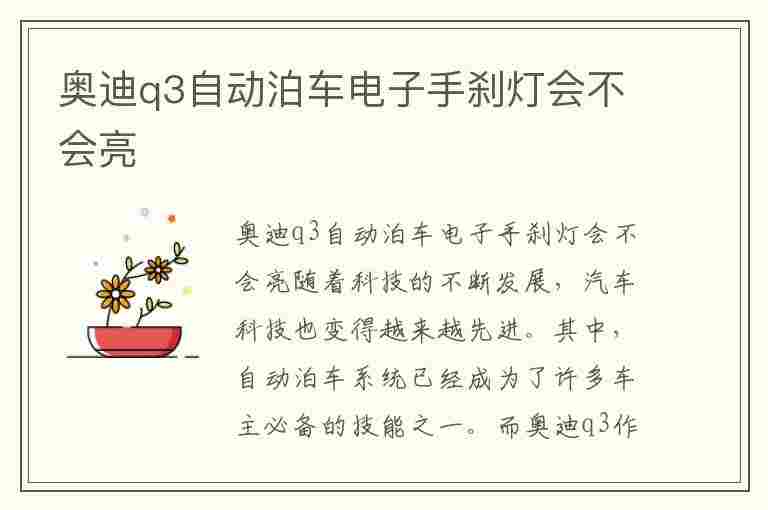 奥迪q3自动泊车电子手刹灯会不会亮