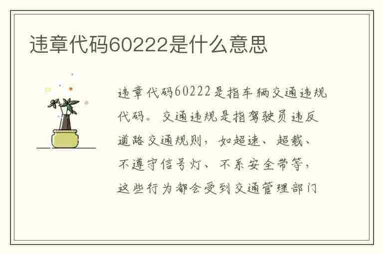 违章代码60222是什么意思(违章代码60222是什么意思啊)