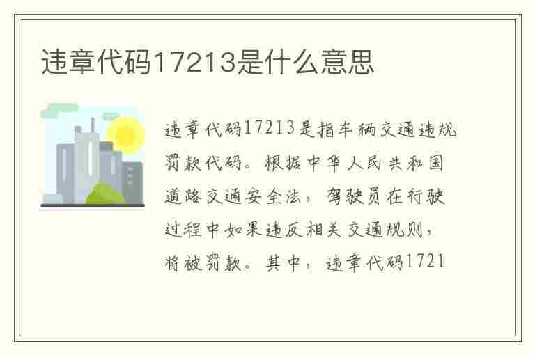 违章代码17213是什么意思