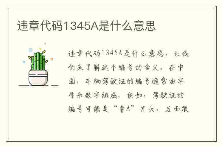 违章代码1345A是什么意思(违章代码13455什么意思)