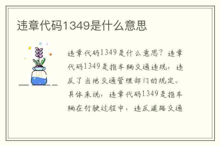 违章代码1349是什么意思