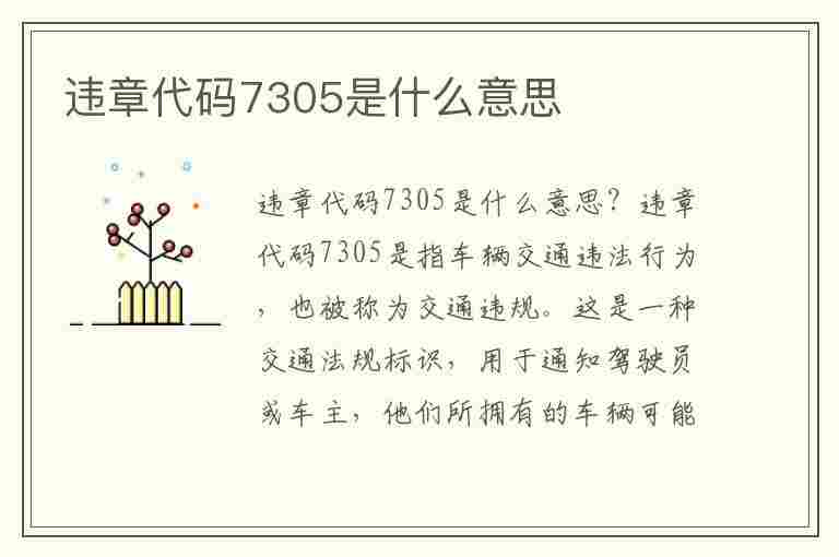 违章代码7305是什么意思(违章代码7305是什么意思啊)