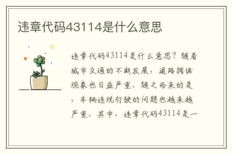 违章代码43114是什么意思