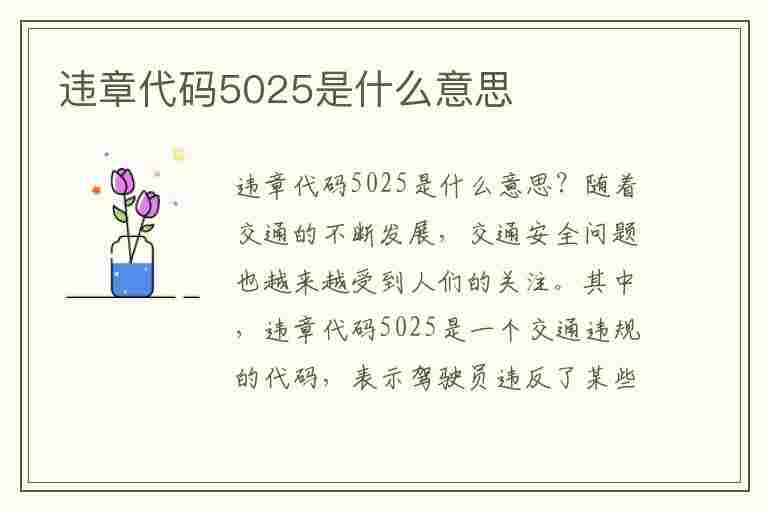 违章代码5025是什么意思(违章代码5025是什么意思啊)