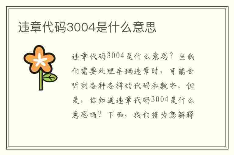 违章代码3004是什么意思(违章代码3004是什么意思啊)