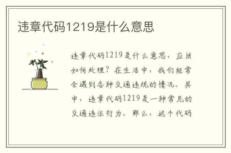 违章代码1219是什么意思(违章代码1219是什么意思啊)