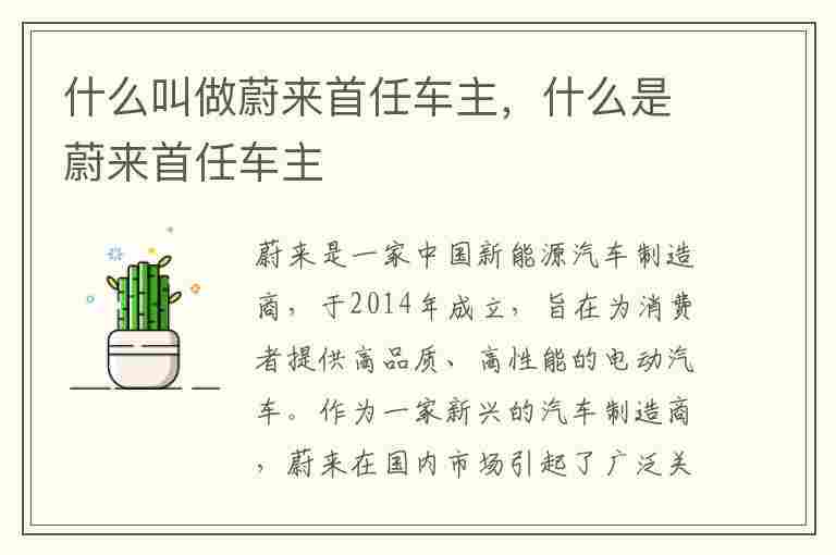 什么叫做蔚来首任车主，什么是蔚来首任车主