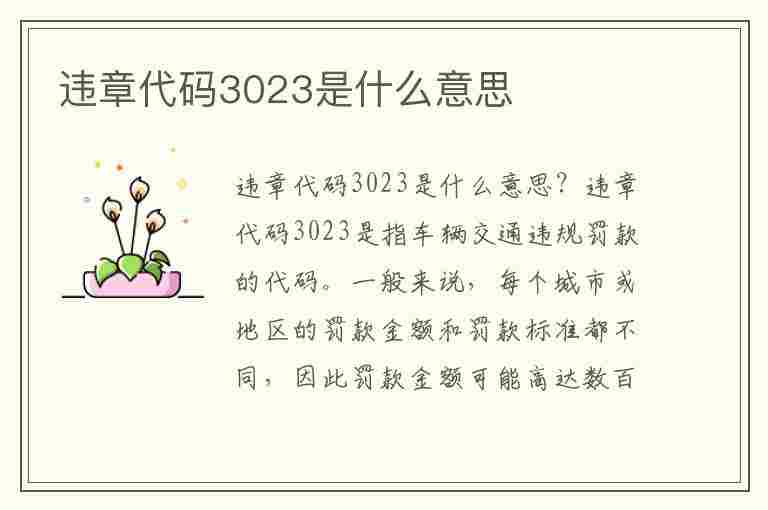 违章代码3023是什么意思(违章代码3023是什么意思啊)