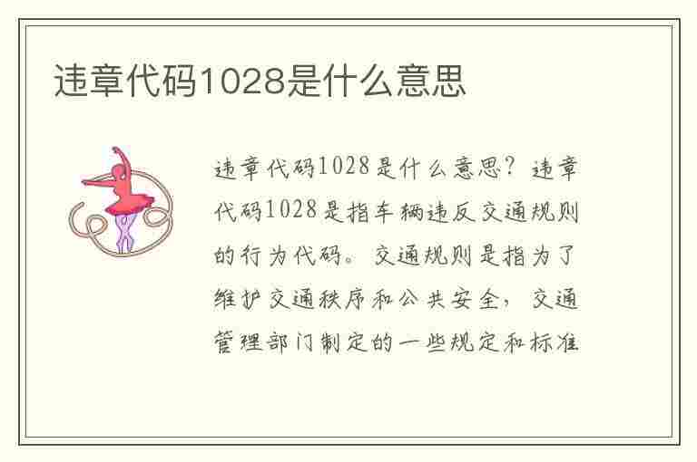 违章代码1028是什么意思