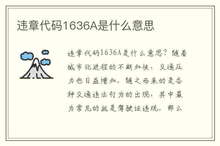 违章代码1636A是什么意思