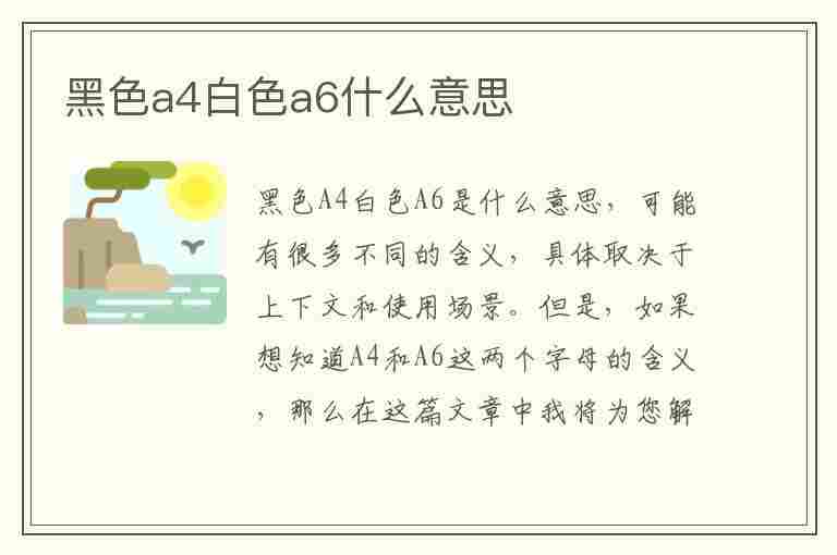 黑色a4白色a6什么意思(黑色a4白色a6什么意思啊)