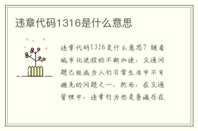 违章代码1316是什么意思(违章代码1316是什么意思啊)