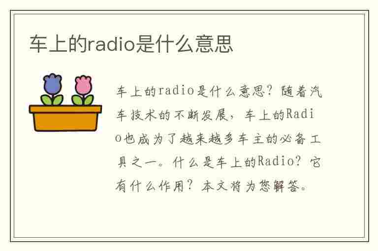 车上的radio是什么意思