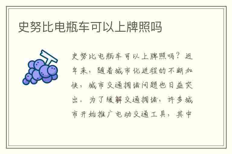 史努比电瓶车可以上牌照吗(史努比电动车可以上牌照吗)