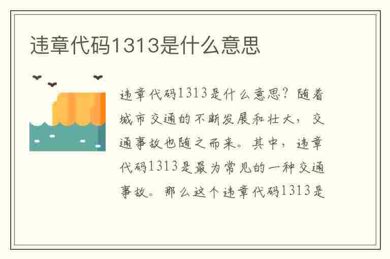 违章代码1313是什么意思(违章代码1313是什么意思啊)