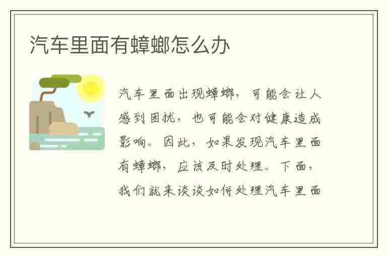 汽车里面有蟑螂怎么办(车内蟑螂会自己离开吗)