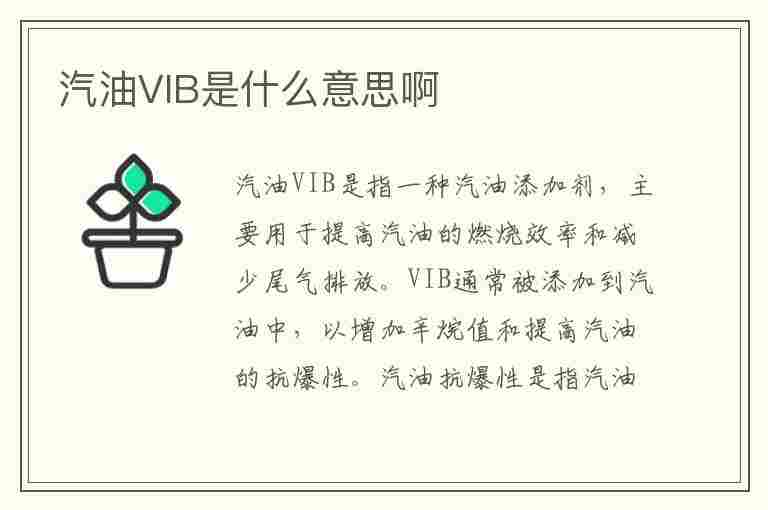 汽油VIB是什么意思啊(汽油vib是乙醇汽油吗)