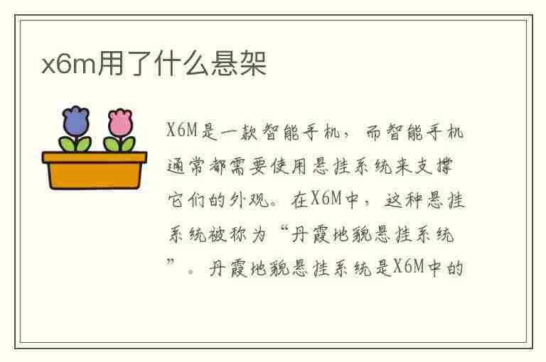 x6m用了什么悬架(x6悬挂在哪儿调节)