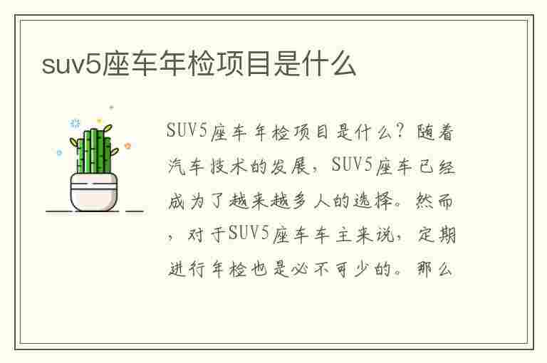 suv5座车年检项目是什么(suv5座车年检项目是什么意思)