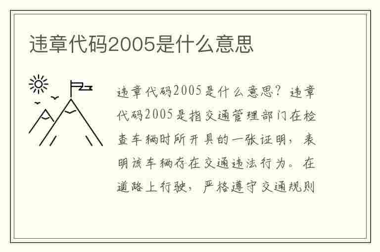 违章代码2005是什么意思(违章代码2005是什么意思啊)