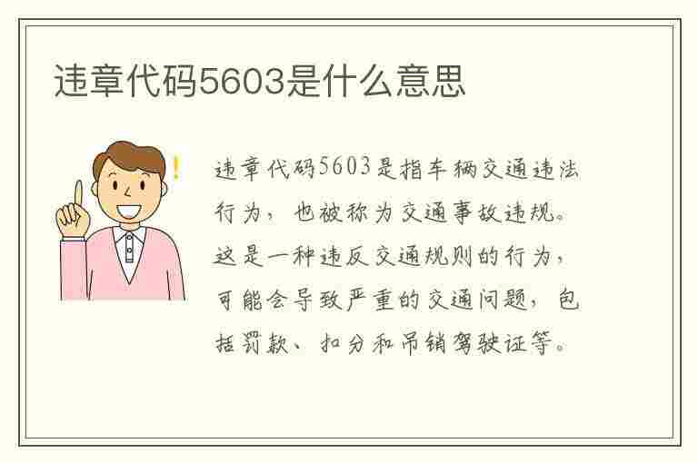 违章代码5603是什么意思(违章代码5603是什么意思啊)