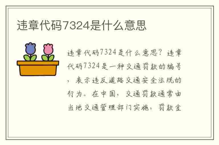 违章代码7324是什么意思(违章代码7324是什么意思啊)