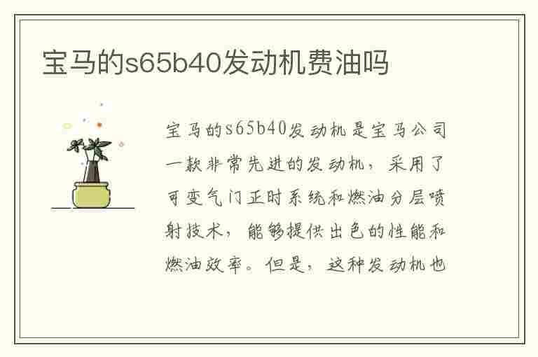 宝马的s65b40发动机费油吗(宝马s65b40发动机详解)