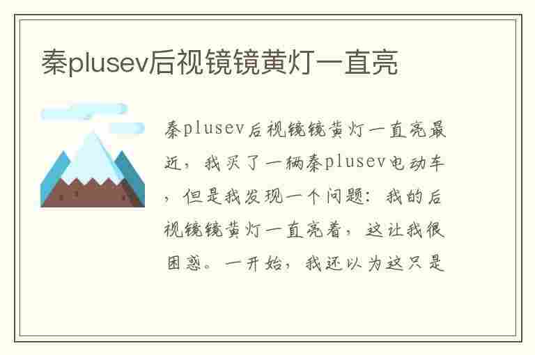 秦plusev后视镜镜黄灯一直亮