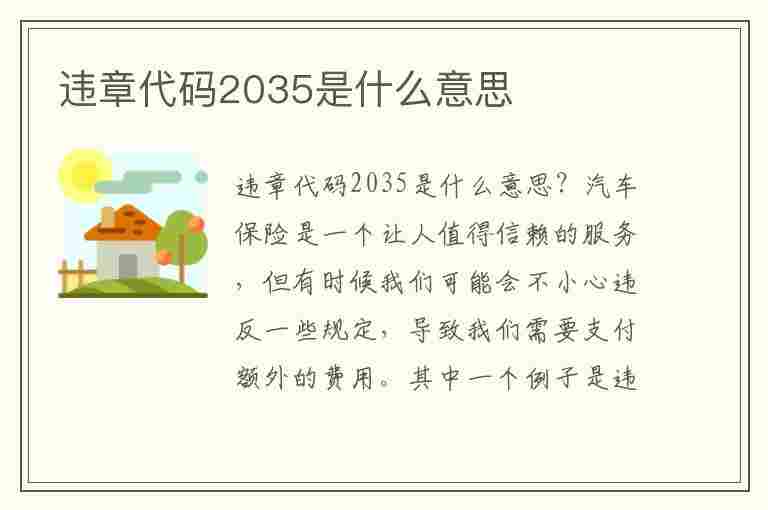 违章代码2035是什么意思(违章代码2035是什么意思啊)