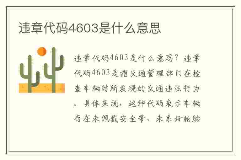 违章代码4603是什么意思(违章代码4603是什么意思啊)