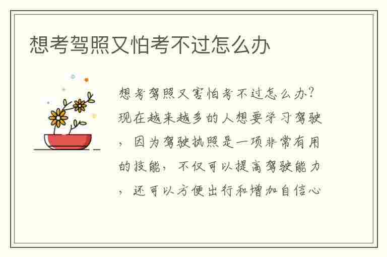 想考驾照又怕考不过怎么办(想考驾照又怕考不过怎么办自己笨)