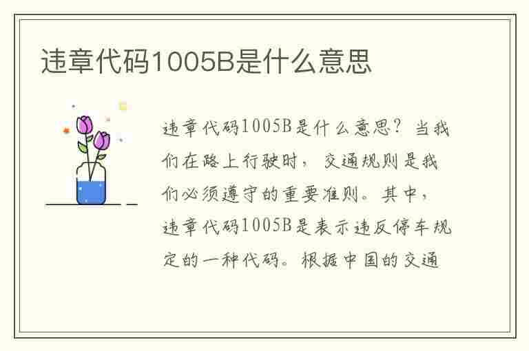 违章代码1005B是什么意思(违章代码1005b是什么意思啊)