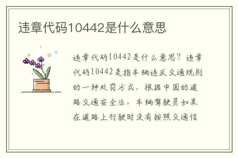 违章代码10442是什么意思(违章代码10442是什么意思啊)