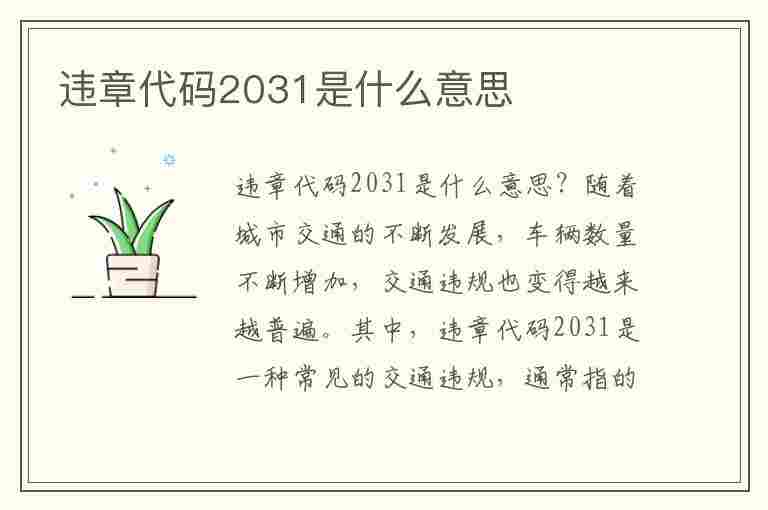 违章代码2031是什么意思