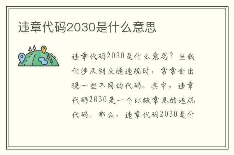 违章代码2030是什么意思(违章代码2030是什么意思啊)