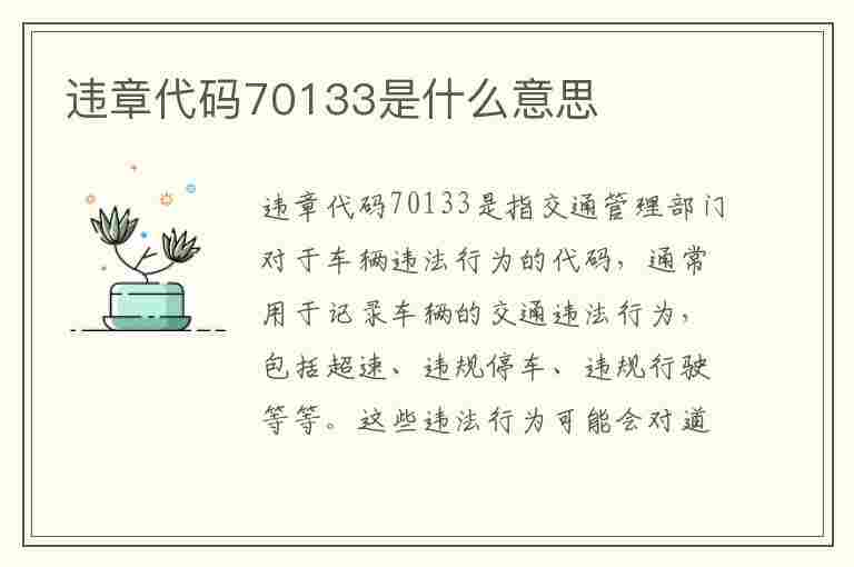 违章代码70133是什么意思(违章代码70133是什么意思啊)